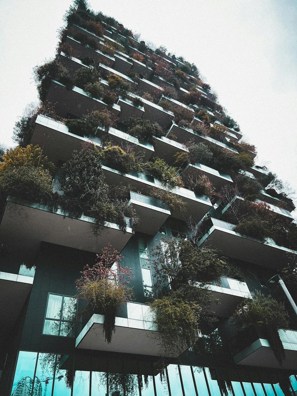 Urban planning and green spaces